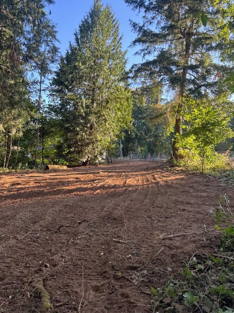 Cleared access running back through the trees toward the homesite